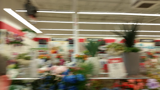 Craft Store «Michaels», reviews and photos, 12765 Harper Village Dr, Battle Creek, MI 49014, USA