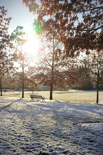 Park «Reedville Creek Park», reviews and photos, 7500 SE Frances St, Hillsboro, OR 97123, USA