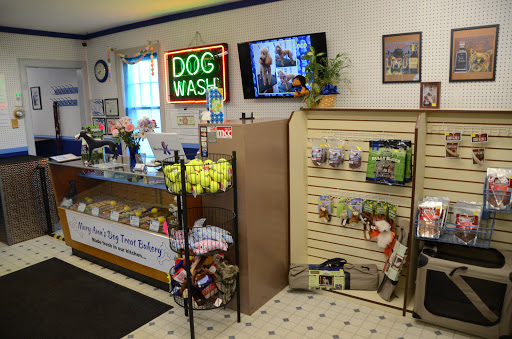 Pet Groomer «Blue Ribbon Dog Grooming LLC Anderson», reviews and photos, 5038 S Scatterfield Rd, Anderson, IN 46013, USA