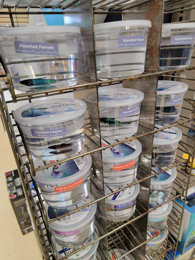 Pet Supply Store «Petco Animal Supplies», reviews and photos, 1514 Country Road 220, Fleming Island, FL 32003, USA