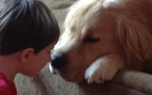 823 River Rd, Fair Haven, NJ 07704, USA