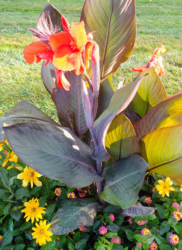 Gift Shop «Gate House Gift Shop», reviews and photos, Biltmore Estate Dr, Asheville, NC 28803, USA