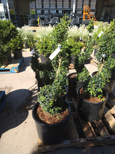 Home Improvement Store «The Home Depot», reviews and photos, 390 THF Blvd, Chesterfield, MO 63005, USA