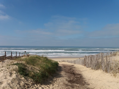 Wellenreiter Camp Contis Plage à Saint-Julien-en-Born