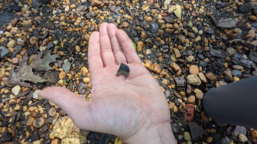 Nature Preserve «Big Brook Preserve», reviews and photos, 95 Hillsdale Rd, Colts Neck, NJ 07722, USA