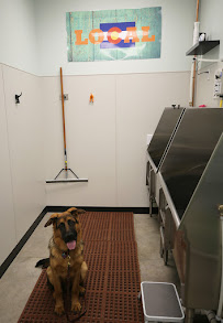 Paws 'n' Play Beeler Park - Photo 8 - Car repair in Denver, CO, Denver