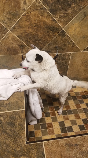 Pet Supply Store «Pet Valu», reviews and photos, 3735 Palomar Centre Dr #130, Lexington, KY 40513, USA