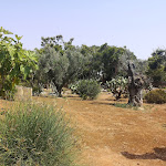 Photo n°9 de l'avis de Isabell.r fait le 30/07/2021 à 17:07 sur le  Hotel Gallipoli à Gallipoli