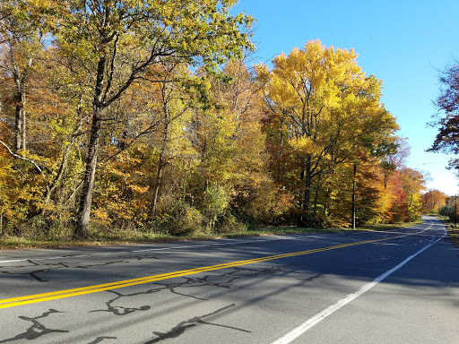 Park «Beech Woods Park», reviews and photos, 137 Beekman Rd, Kendall Park, NJ 08824, USA