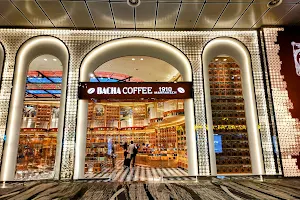 Bacha Coffee Changi Int'l Airport Terminal 3 image