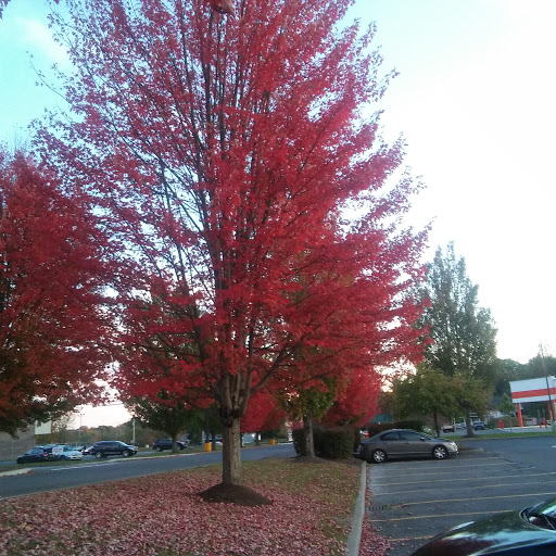 Grocery Store «Hannaford Supermarket», reviews and photos, 1165 NY-29, Greenwich, NY 12834, USA