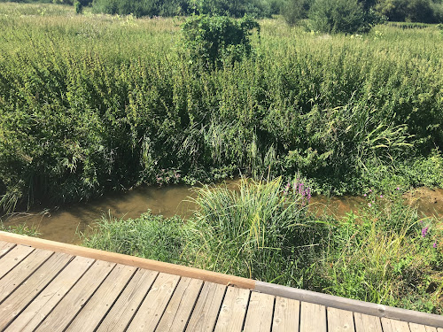 attractions Marais de la Cussigniere Ville-Houdlémont