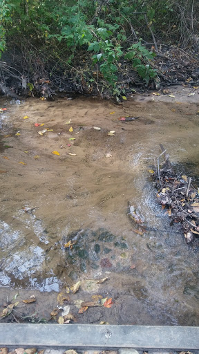 Nature Preserve «DeGraaf Nature Center», reviews and photos, 600 Graafschap Rd, Holland, MI 49423, USA