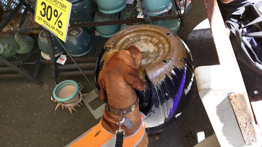 Hardware Store «Shafers Ace Hardware», reviews and photos, 2760 E St, Eureka, CA 95501, USA