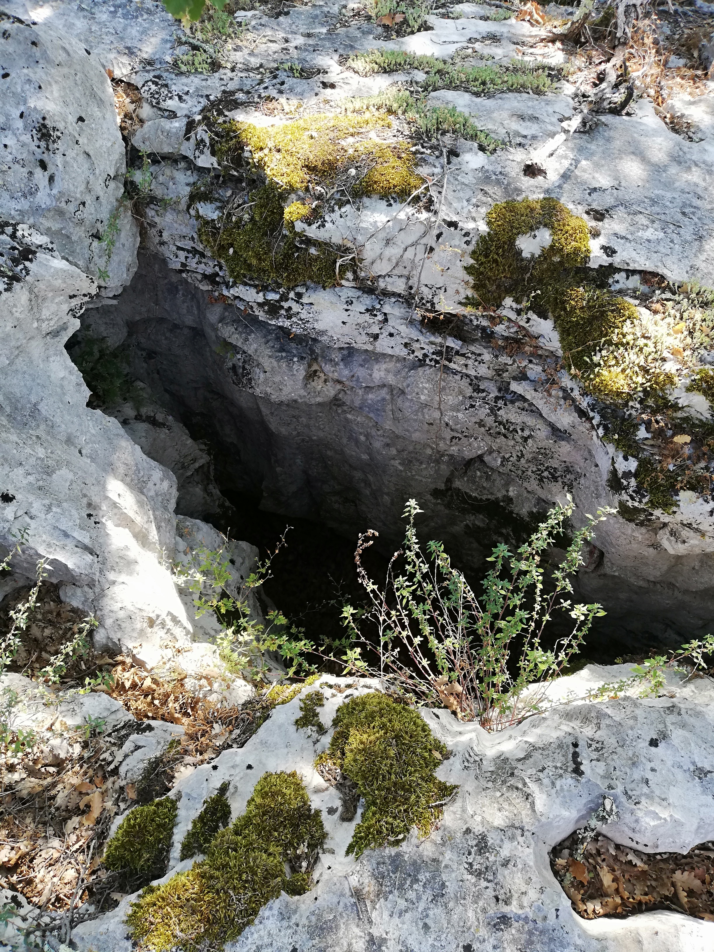 Photo n° 3 de l'avis de Aurélie. fait le 05/10/2019 à 18:45