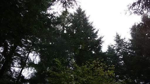 Campground «Camp Dakota», reviews and photos, 1843 Crooked Finger Rd NE, Scotts Mills, OR 97375, USA