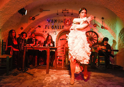 Espectaculo Flamenco Granada