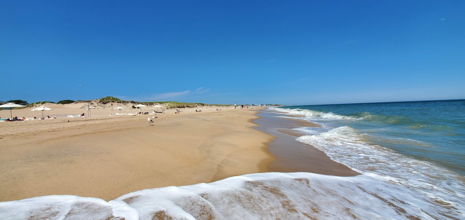 Foto de Kirk Park Beach con playa amplia