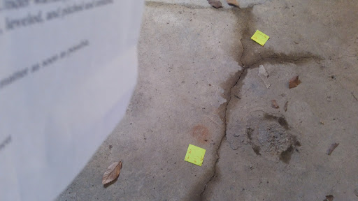 Contractor «JES Foundation Repair», reviews and photos