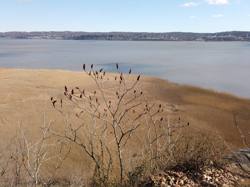 State Park «Tallman Mountain State Park», reviews and photos, Route 9W, Sparkill, NY 10976, USA