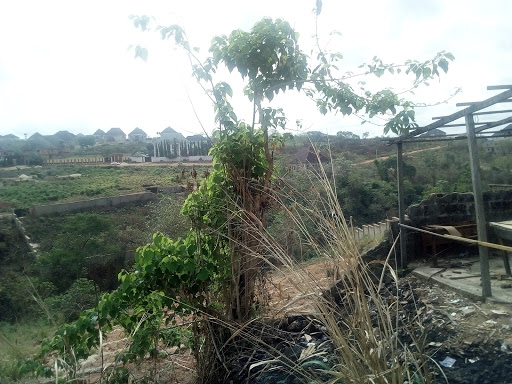 Grace Of God Mission International Headquarters Onitsha, unamed Road, GRA Phase I, Onitsha, Nigeria, Church, state Anambra