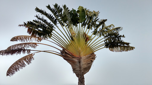 Tourist Attraction «Coral Castle», reviews and photos, 28655 S Dixie Hwy, Homestead, FL 33033, USA