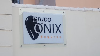 Grupo Onix Agente de Seguros, S.A. de C.V.