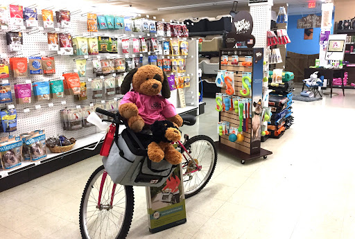 Dog Lovers of Tarpon