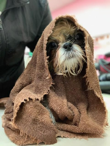 Pet Store «Woof Gang Bakery and Grooming Wichita», reviews and photos, 9747 E 21st St N #131, Wichita, KS 67206, USA