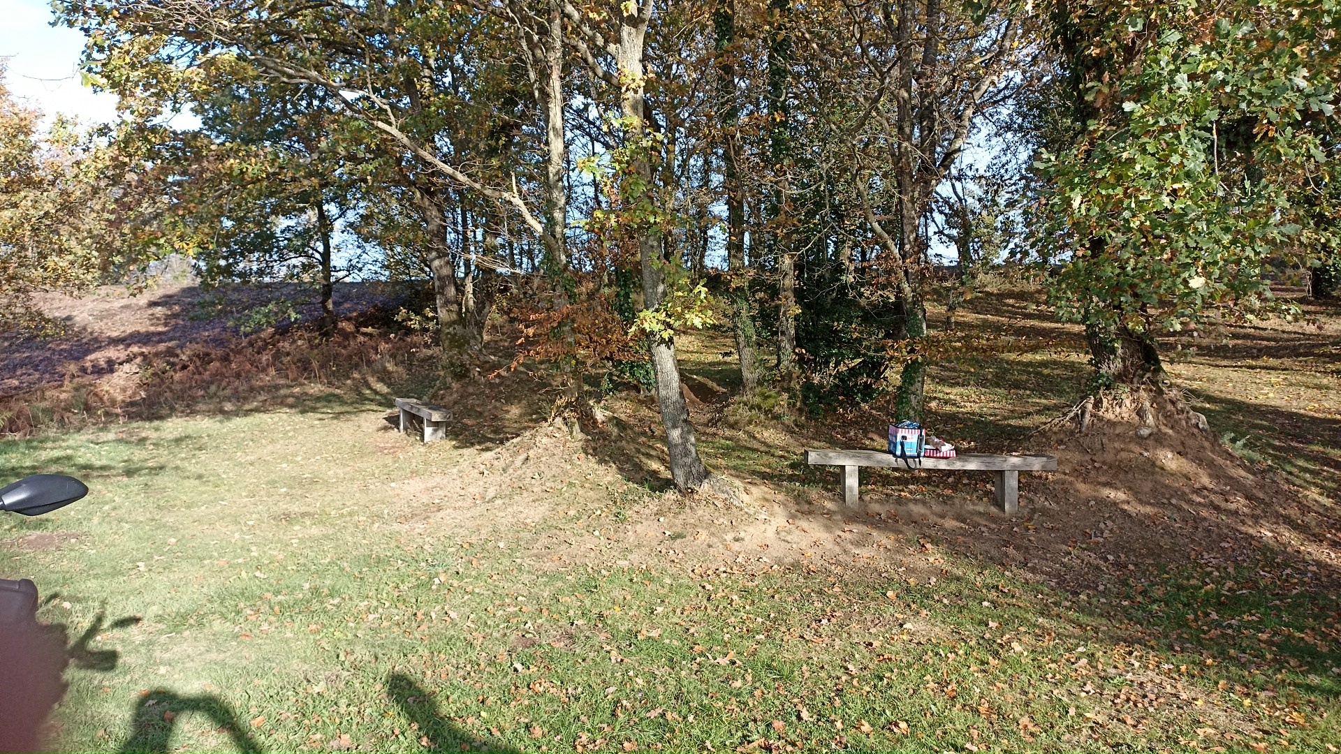 Photo n° 1 de l'avis de Nico.i fait le 13/11/2022 à 13:38