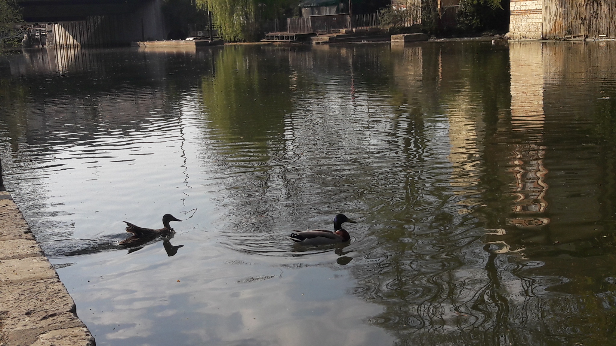 Photo n° 1 de l'avis de chris. fait le 22/04/2019 à 22:57