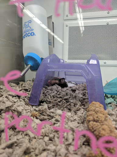 Pet Supply Store «Petco Animal Supplies», reviews and photos, 205 SE 5th St, Ames, IA 50010, USA