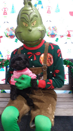 Pet Supply Store «Pet Pros Bonney Lake», reviews and photos, 21201 WA-410, Bonney Lake, WA 98391, USA