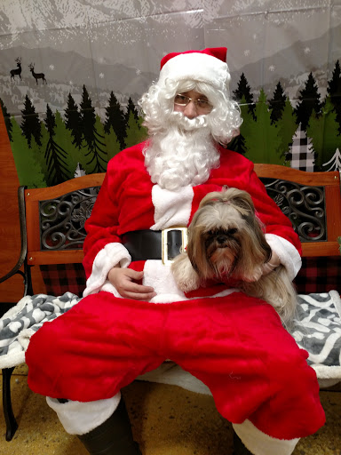 Pet Supply Store «PetSmart», reviews and photos, 1600 N Jackson St #310, Tullahoma, TN 37388, USA