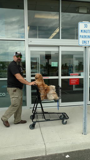 Pet Supply Store «Petco Animal Supplies», reviews and photos, 660 Chestnut Commons Dr, Elyria, OH 44035, USA