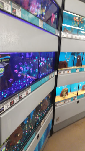 Pet Supply Store «Petco Animal Supplies», reviews and photos, 1201 E Washington Ave, Union Gap, WA 98903, USA