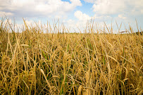 Lile Real Estate, Inc. - Photo 3 - Car repair in Little Rock, AR, Little Rock