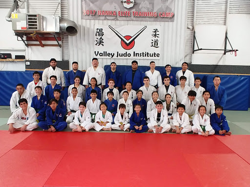 Valley Judo Institute