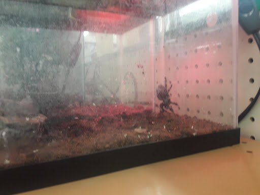 Pet Supply Store «Pet Supplies Plus», reviews and photos, 175 Memorial Ave, West Springfield, MA 01089, USA