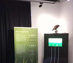 Natural History Museum, Bielefeld photo