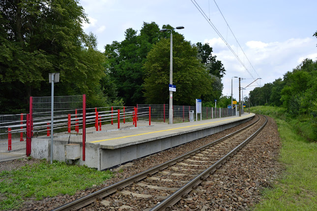 Glinnik Wieś - Nowe Łagiewniki