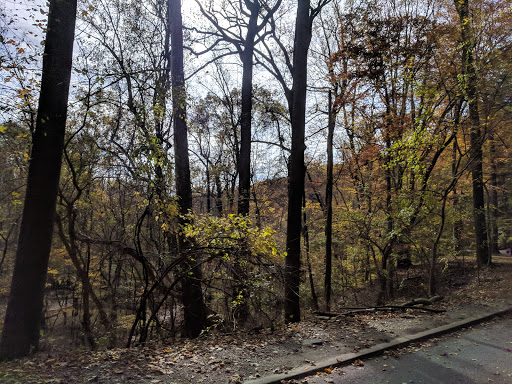 Park «Meadowbrook Local Park», reviews and photos, 7901 Meadowbrook Ln, Chevy Chase, MD 20815, USA