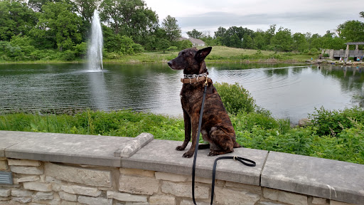 Bird Watching Area «Coffee Creek Watershed Preserve», reviews and photos, 2401 Village Point, Chesterton, IN 46304, USA