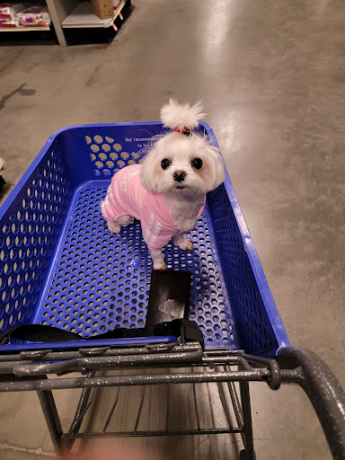 Pet Supply Store «PetSmart», reviews and photos, 33963 Doheny Park Rd, San Juan Capistrano, CA 92675, USA