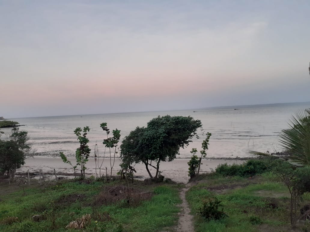 Φωτογραφία του Praia do Leste με επίπεδο καθαριότητας πολύ καθαρό