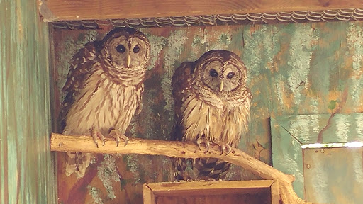 Park «Potomac Overlook Regional Park», reviews and photos, 2845 Marcey Rd, Arlington, VA 22207, USA