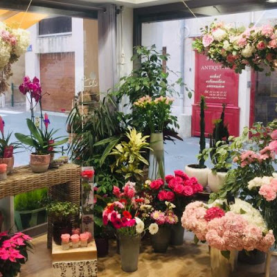 Les Fleurs d'Elisa à Les Sables-d'Olonne