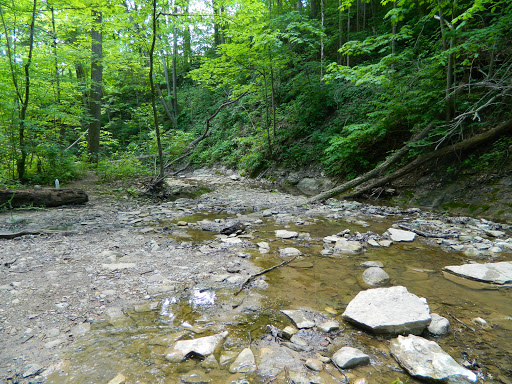 Nature Preserve «Kokiwanee Nature Preserve», reviews and photos, 5825 E 50 S, Lagro, IN 46941, USA