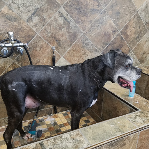 Pet Store «Pet Valu», reviews and photos, 6718 Ritchie Hwy, Glen Burnie, MD 21061, USA