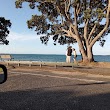 Narrow Neck Beach